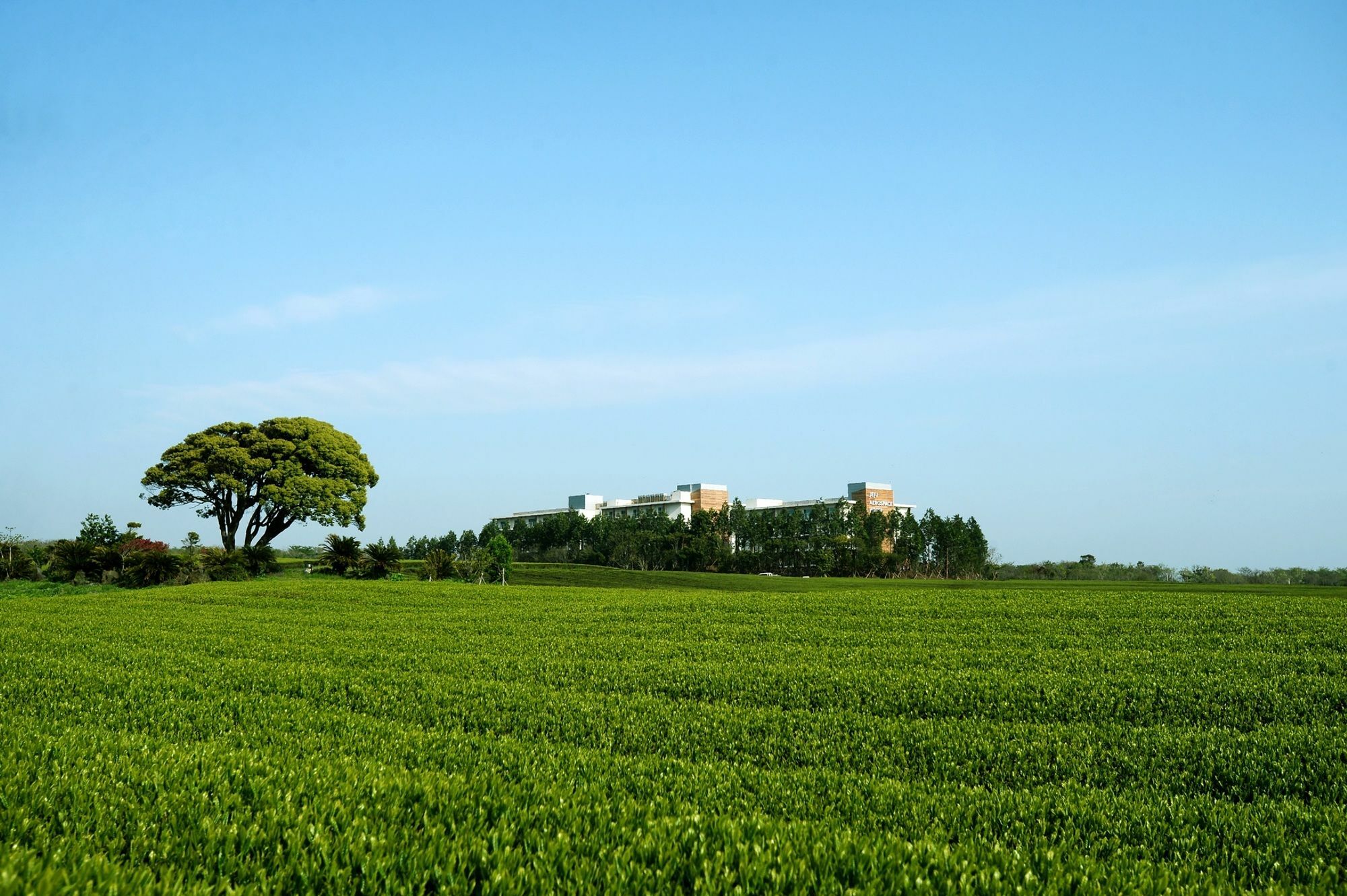 Jeju Aerospace Hotel Seogwipo Esterno foto